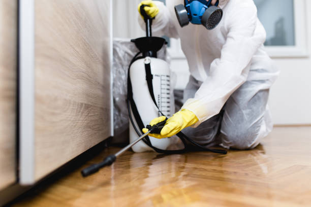 Best Local Pest Control Services  in North Key Largo, FL