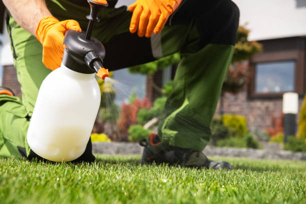 Best Mosquito Control Services  in North Key Largo, FL