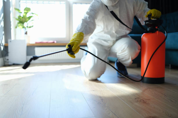 Professional Pest Control in North Key Largo, FL
