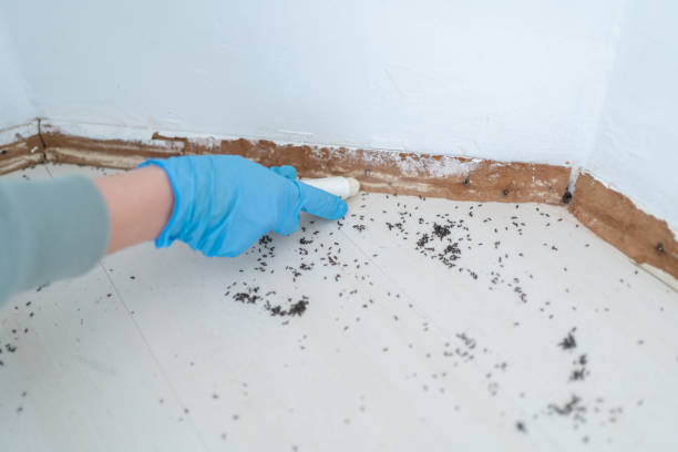 Best Commercial Pest Control Services  in North Key Largo, FL
